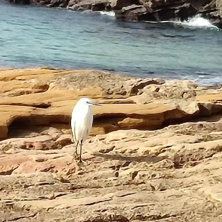 Lovely 1 Bedroom In Da *